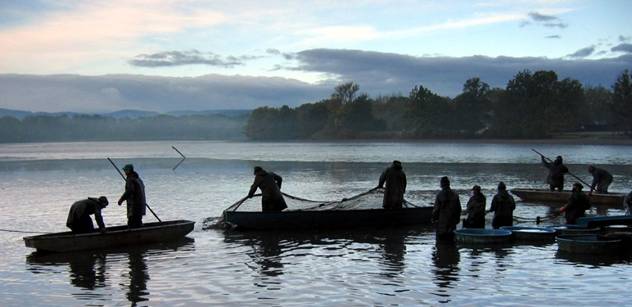 Povodí Odry připravuje tradiční podzimní výlovy krnovských rybníků